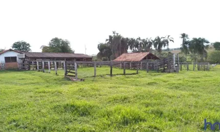 Fazenda com 45 alqueires de dupla aptidão em campina verde-mg