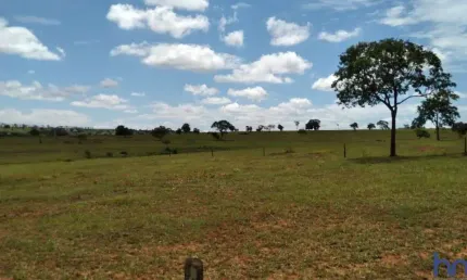 Fazenda de dupla aptidão com 40 alqueires em carneirinho-mg