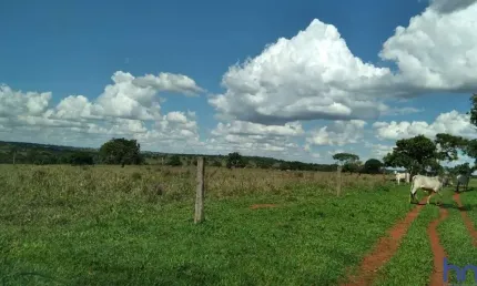 FAZENDA DE DUPLA APTIDÃO COM 59 ALQUEIRES EM CAMPINA VERDE-MG