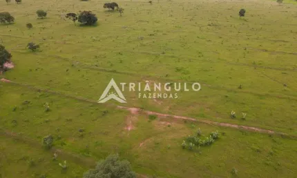 Sitio com 14 alqueires de dupla aptidão em campina verde-mg