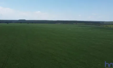 Ótima fazenda para agricultura com 120 alqueires no prata-mg