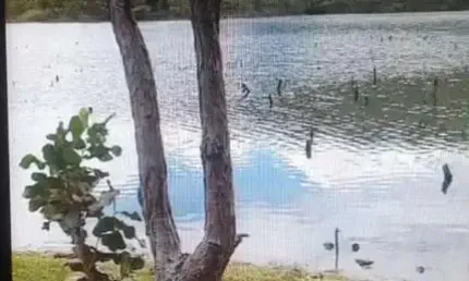 Fazenda com 54 alqueires bruta para pecuária em minaçu-go