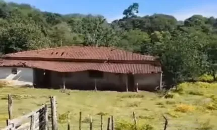 Fazenda com 93 alqueires de dupla aptidão em minaçu-go