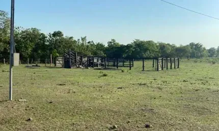FAZENDA COM 46 ALQUEIRES DE DUPLA APTIDÃO EM DUERÉ-TO