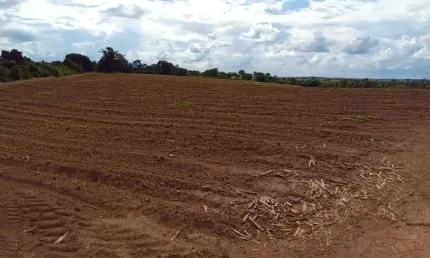 Fazenda de dupla aptidão com 70 alqueires em uberaba-mg