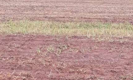 EXCELENTE FAZENDA DE DUPLA APTIDÃO COM 450 ALQUEIRES EM MONTIVIDIU-GO