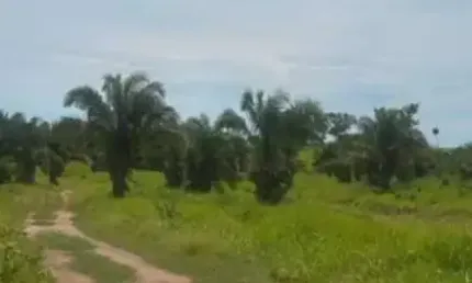Fazenda com 355 alqueires de dupla aptidão no vale do araguaia em goiás