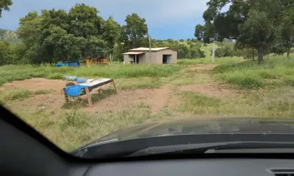 Fazenda com 58 alqueires de dupla aptidão com 58 alqueires em montividiu do norte-go