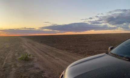 FAZENDA COM 2.900 ALQUEIRES PARA AGRICULTURA EM ALVORADA DO GURGUÉIA-PI