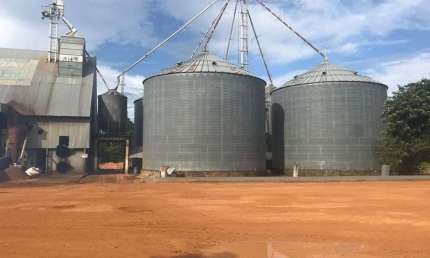 FAZENDA COM 1.035 ALQUEIRES PARA AGRICULTURA EM CAMPO NOVO DO PARECIS-MT