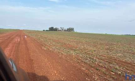 FAZENDA COM 785 ALQUEIRES PARA AGRICULTURA NA REGIÃO DE SINOP-MT