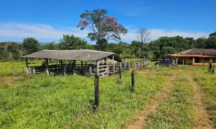 Fazenda de dupla aptidão com 25 alqueires em brazlândia-df