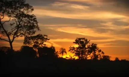 ÓTIMA FAZENDA COM 3.600 ALQUEIRES DE DUPLA APTIDÃO EM SANDOLÂNDIA-TO