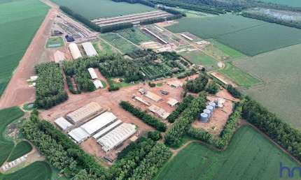 MEGA FAZENDA COM 4.170 ALQUEIRES DE DUPLA APTIDÃO EM CAMPO VERDE-MT