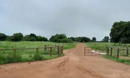 Fazenda com 580 alqueires de dupla aptidão em jussara-go
