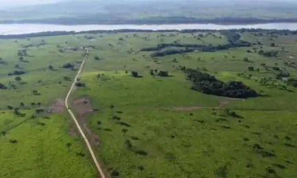 Fazenda de 412 alqueires de dupla aptidão margem do rio araguaia em ananás-to
