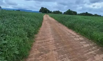 FAZENDA COM 150 ALQUEIRES PARA AGRICULTURA EM BREJINHO DE NAZARÉ-TO