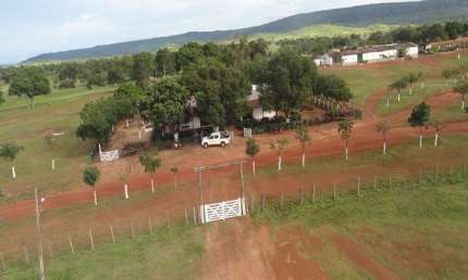 MEGA FAZENDA COM 176.000 HECTARES DUPLA APTIDÃO NO MUNICÍPIO DE AROAZES - PI