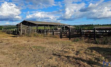 FAZENDA COM 200 ALQUEIRES DE DUPLA APTIDÃO EM ITINGA DO MARANHÃO-MA