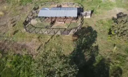 Fazenda de dupla aptidão com 203 alqueires em aparecida do rio negro-to