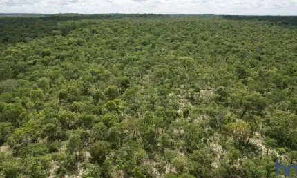 Fazenda bruta de dupla aptidão com 7.850 alqueires em corrente-pi