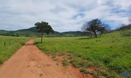 Fazenda com 153 alqueires para pecuária em trombas-go