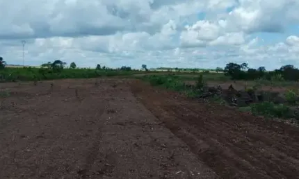 FAZENDA COM 108 ALQUEIRES DE DUPLA APTIDÃO EM SÃO VALÉRIO DA NATIVIDADE-TO