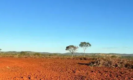 FAZENDA COM 170 ALQUEIRES BRUTA DE DUPLA APTIDÃO EM SÃO VALÉRIO DA NATIVIDADE-TO