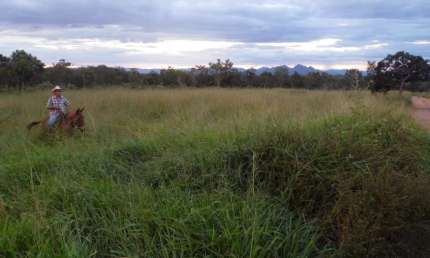 OPORTUNIDADE FAZENDA COM 202 ALQUEIRES DE DUPLA APTIDÃO EM CAVALCANTE-GO