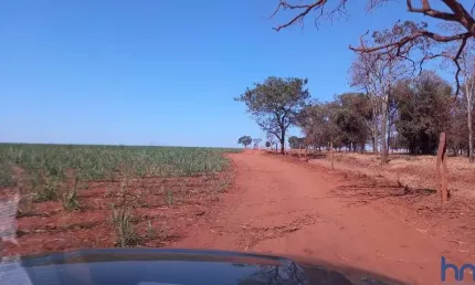 FAZENDA COM 150 ALQUEIRES EM PLANTIO DE CANA ARRENDADA EM UBERABA-MG