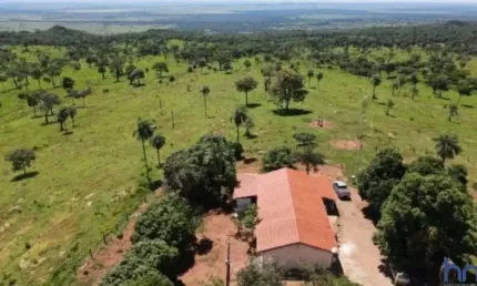 Fazenda para pecuária com 170 alqueires em nova roma-go