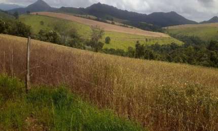 FAZENDA DUPLA APTIDÃO COM 1.500 HECTARES EM VARGEM BONITA-MG