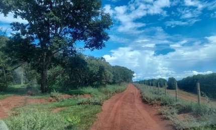 FAZENDA COM 32 ALQUEIRES DE DUPLA APTIDÃO EM UBERLÂNDIA-MG