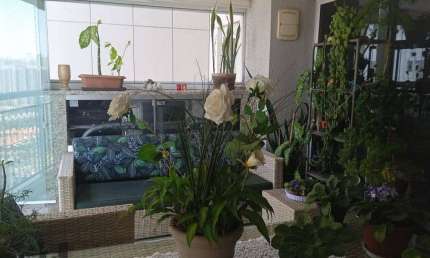 Vendo apartamento alto padrão 155m² Condomínio Evidence