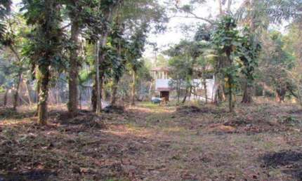 Chácara / sítio com 2 quartos à venda no Jardim São Fernando, Itanhaém 