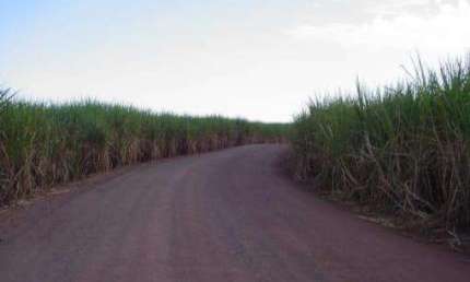 Fazenda à venda em Mandaguaçu, Centro, com 1 quarto, com 98.06 alqueires