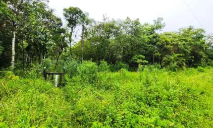 Terreno à venda no Jardim Coronel, Itanhaém 