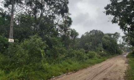 Terreno à venda no Parque Real, Itanhaém 
