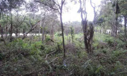 Chácara / sítio à venda no Balneário Gaivota, Itanhaém 