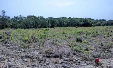 Terreno à venda na Avenida Marginal, 11464, Balneário Tupy, Itanhaém