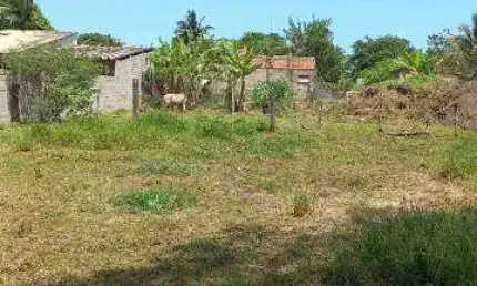 Terreno à venda no Sitio Velho, Itanhaém 