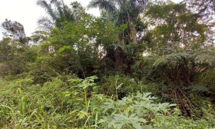 Terreno à venda no Jardim São Francisco, Peruíbe 