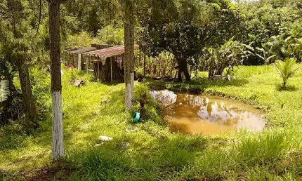 Sítio para Venda em Itariri, Ana Dias, 2 dormitórios, 2 banheiros
