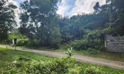 Terreno à venda no São Fernando, Itanhaém 