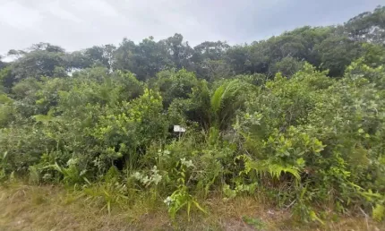 Terreno à venda no Jardim Maramba, Itanhaém 