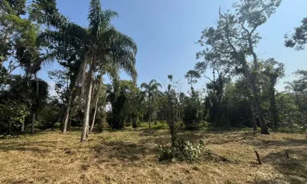 Terreno à venda no Parque Vergara, Itanhaém 