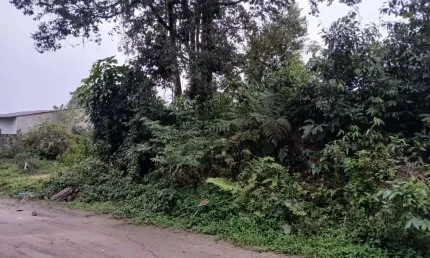 Terreno à venda no Jardim Coronel, Itanhaém 