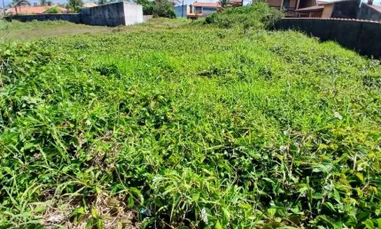 Terreno à venda no Balneário Tupy, Itanhaém 