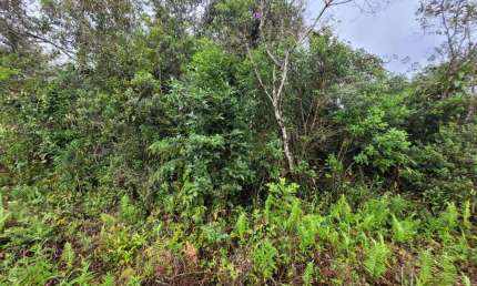 Terreno à venda no Jardim Coronel, Itanhaém 