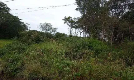 Terreno à venda na Av. Marginal 2, 11464, Bopiranga, Itanhaém